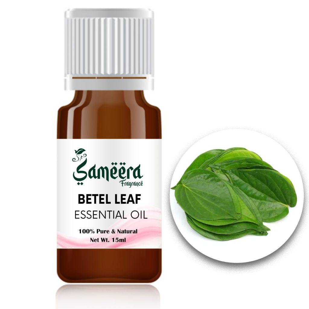 BETEL LEAF OIL Sameera Fragrance